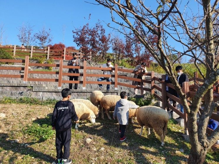 해운대수목원 부산 아이와 가볼만한 곳