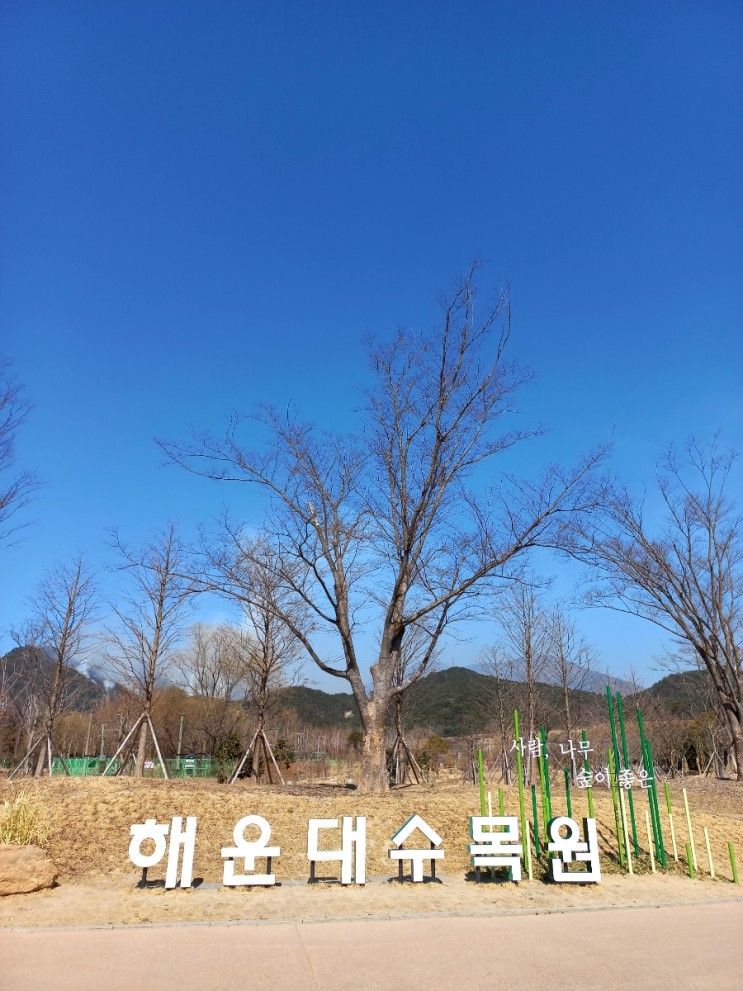 부산 아이와 산책 갈만한 곳 해운대수목원[입장료&주차비 무료!]_22.03.06