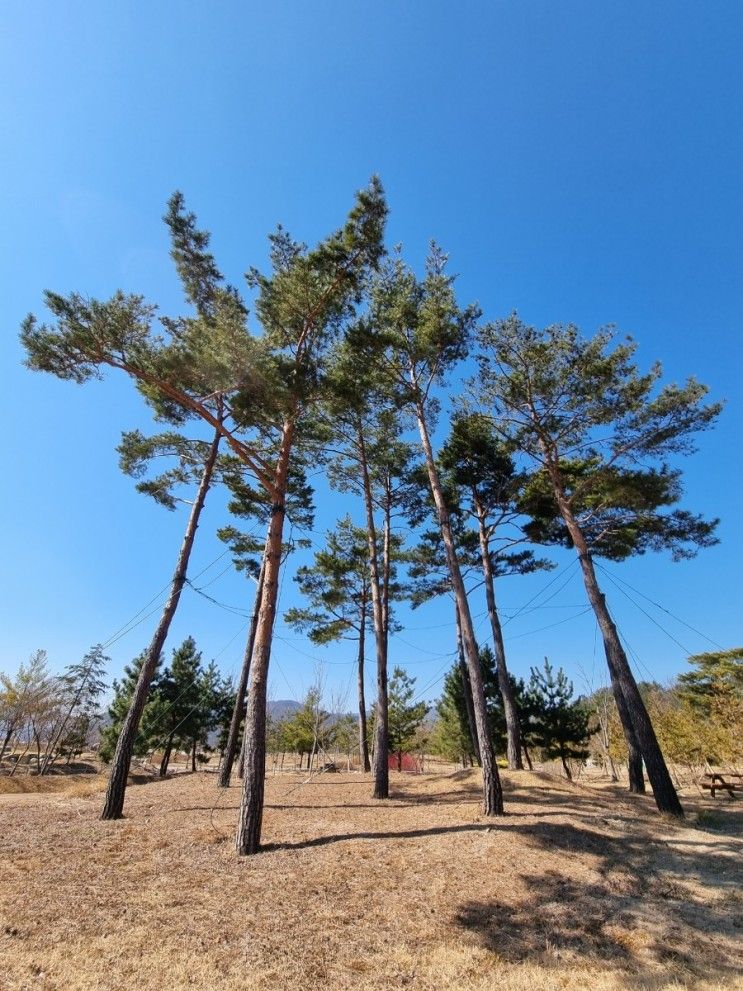 아이와 해운대 수목원