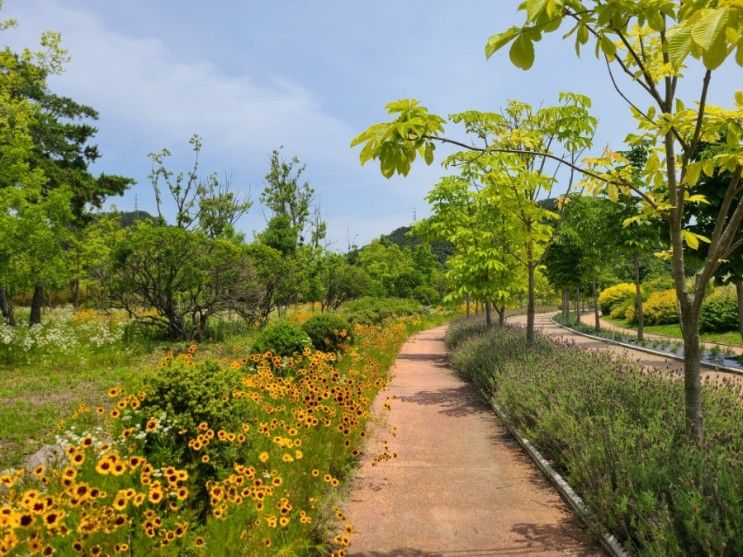 6월 부산 아이와 가볼만한 곳 해운대 수목원 입장료 주차 데이트장소 추천