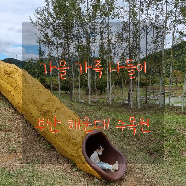 부산 주말 아이와 가볼만한 곳 - 해운대 수목원 가족 나들이