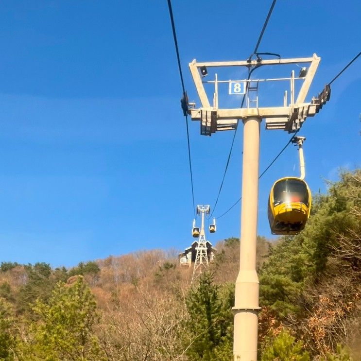 팔공산 케이블카 주차장 예약 가격 할인 식당 아기랑 단풍명소