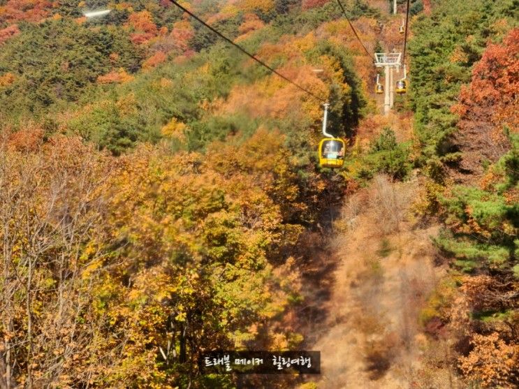 팔공산 케이블카 가격, 둘레길 걸으며 대구 단풍구경, 팔공산...