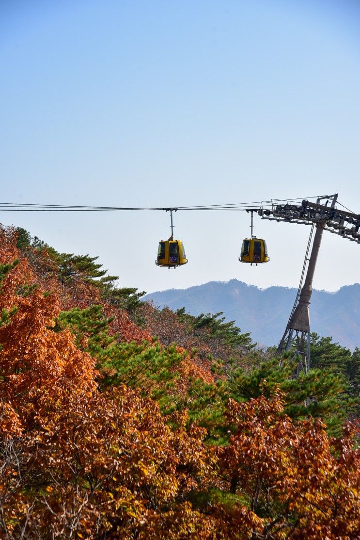 대구 팔공산 케이블카 이용 팔공산 단풍 과 산책로 구경 대구...