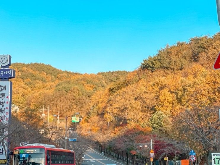 대구 단풍 급행1타고 팔공산케이블카