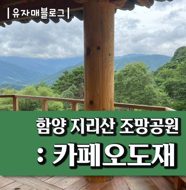 함양 : 카페오도재, 지리산 조망공원, 지안재