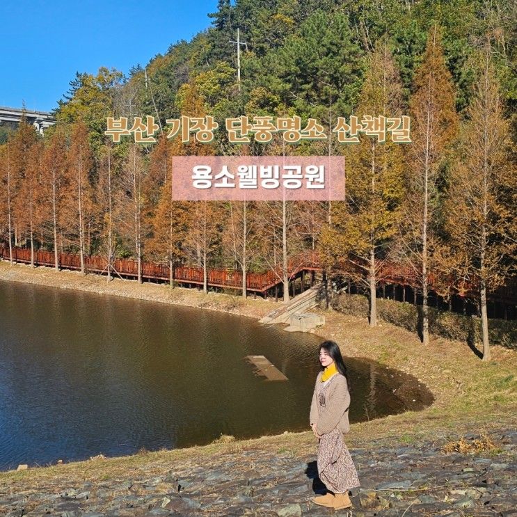 부산 기장 단풍명소 산책길 재개장한 '용소웰빙공원' (주차장...