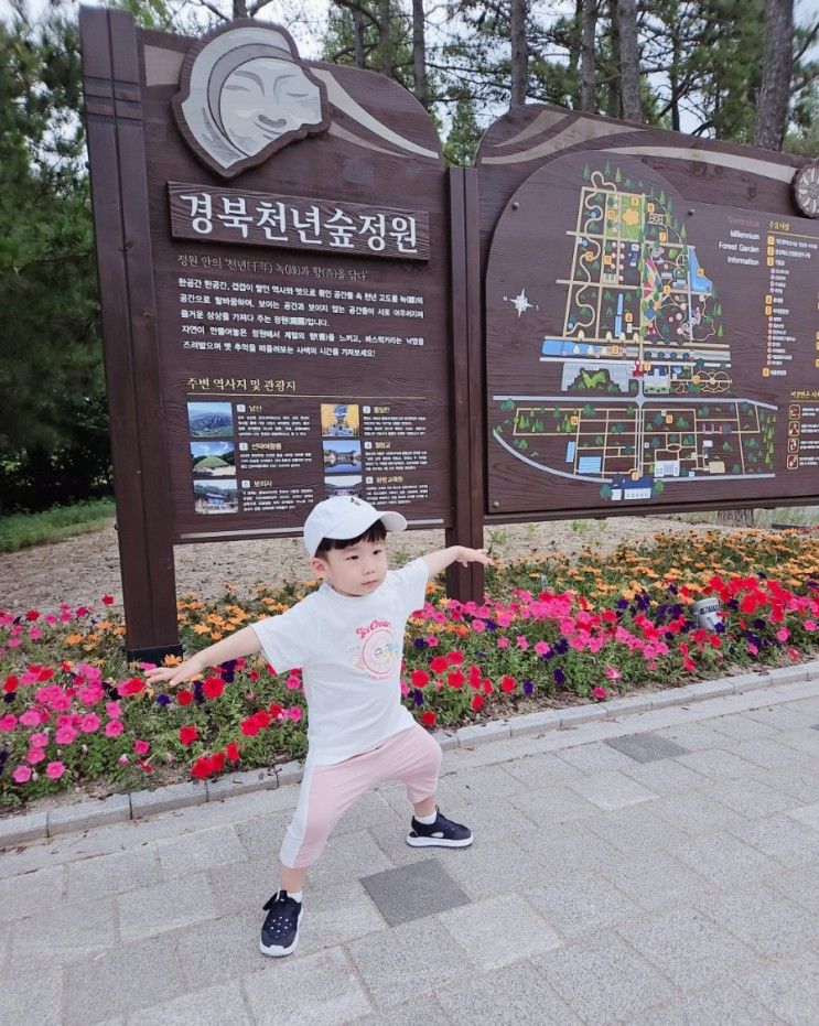 경주 아이와 가볼만한 곳 "경북천년숲정원" 힐링 산책코스 추천