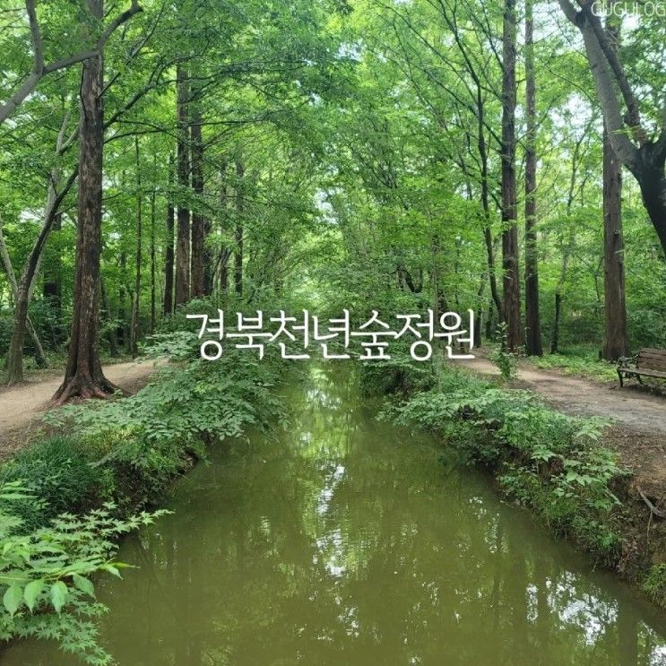 경주가볼만한곳 경북천년숲정원 산책하기 좋은곳