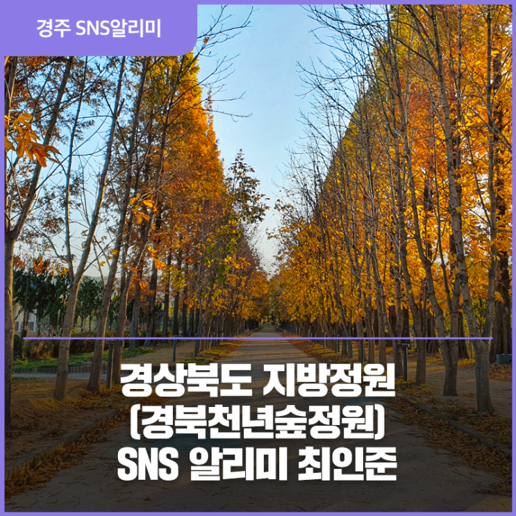 경주美 - 가을경상북도 지방정원(경북천년숲정원) _ SNS...