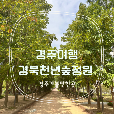 경주여행 경북천년숲정원 | 운영시간 입장료 주차 포토존...