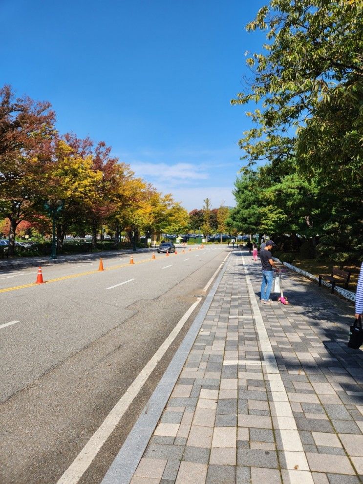 렛츠런파크(과천경마공원)에서 경마하고 과천 포니랜드도 가보기