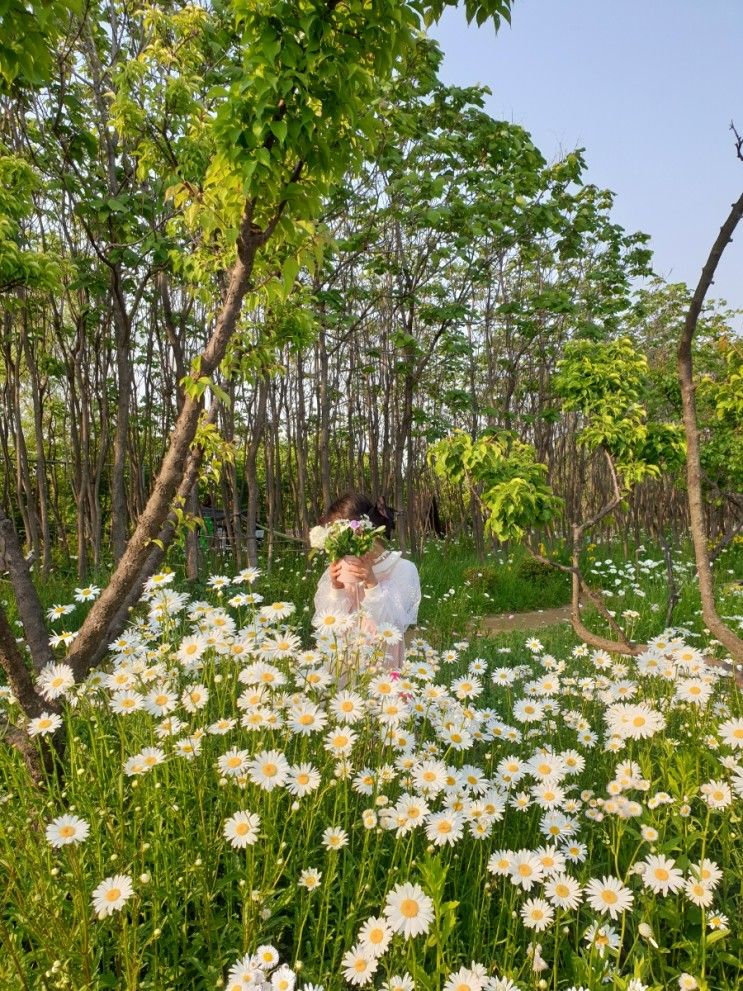 부천 가볼만한곳 아이와함께 플라워클래스 키즈꽃꽃이 데이지 명소 모네정원