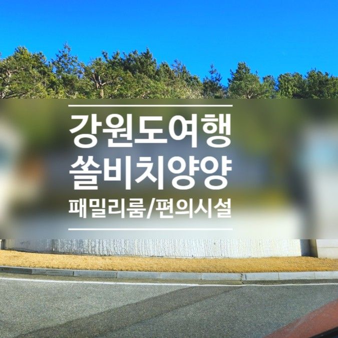 강원도 겨울여행 양양 쏠비치 리조트 패밀리룸 취사 편의시설...