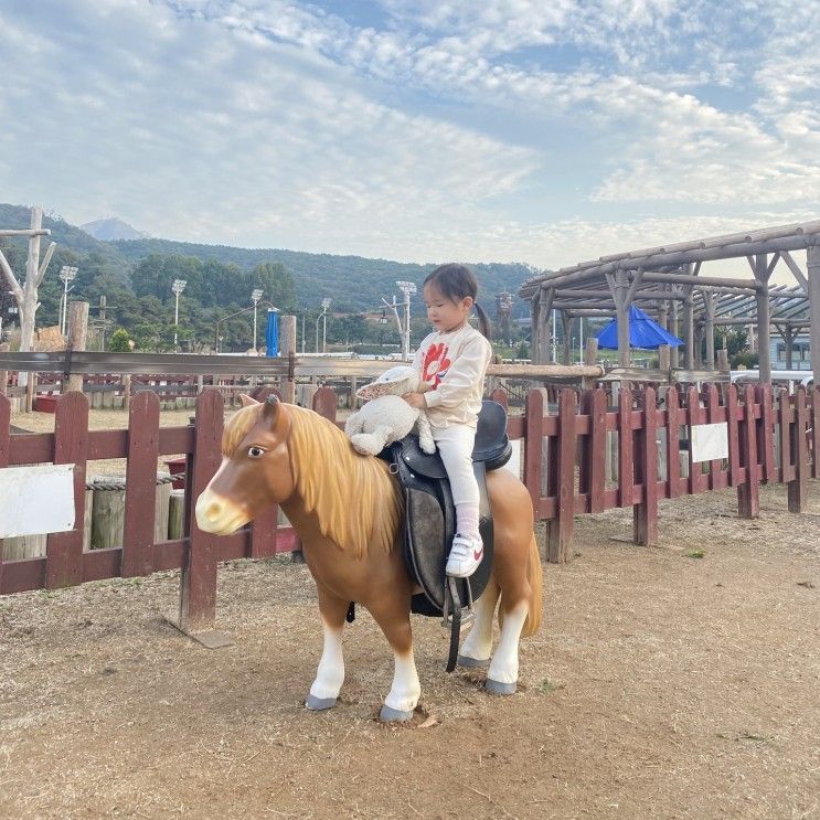 과천 렛츠런파크 포니랜드 (과천 아기랑 가기 좋은 곳👼🏻)