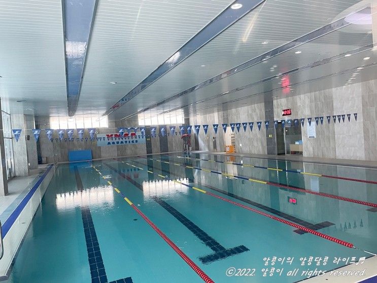 서울 YMCA 고양국제청소년문화센터 일산 수영장