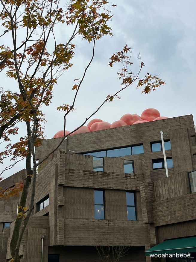 세종 도도리파크, 무료 실내놀이터가 있는 농촌테마공원