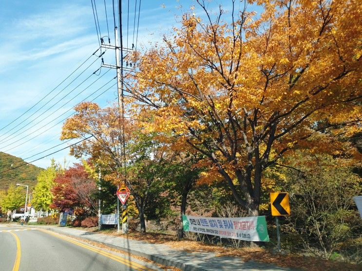 [장흥] 두리랜드 날씨 좋은 날 아이와 함께한 시간