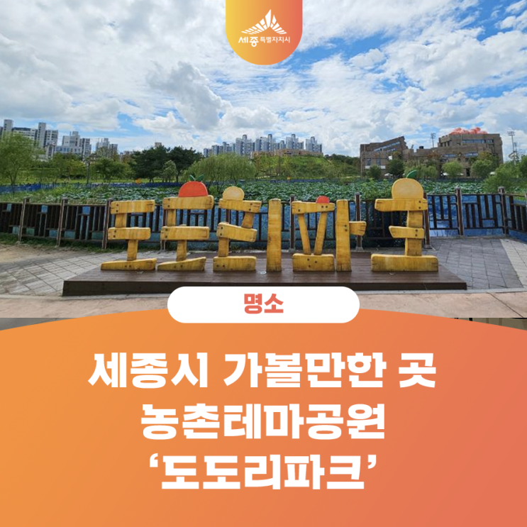 세종시 가볼만한 곳 - 농촌테마공원 도도리파크 (최용옥 기자님)