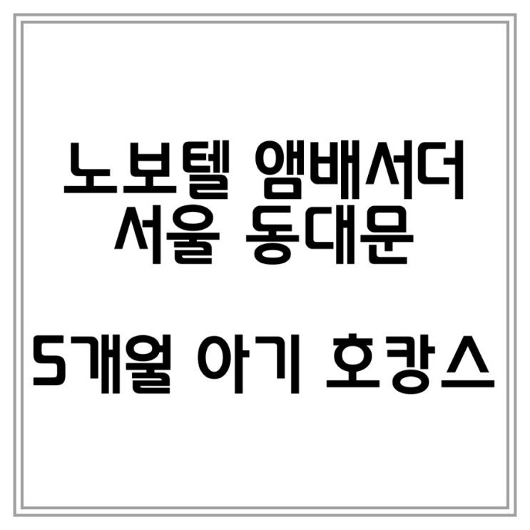 노보텔 앰배서더 서울 동대문 5개월 아기 호캉스