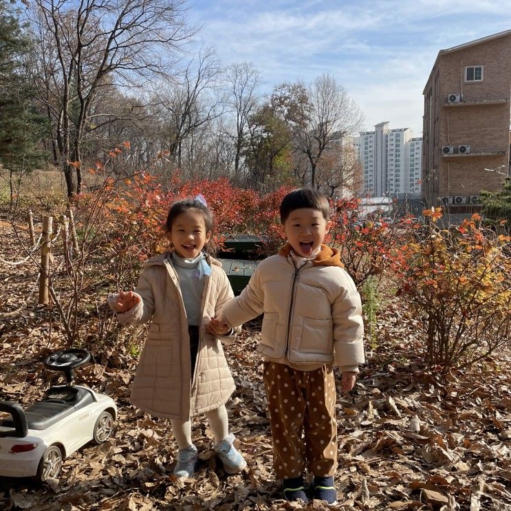 [인천] 반디세상, 아이와 함께 가기 좋은 숲 놀이터