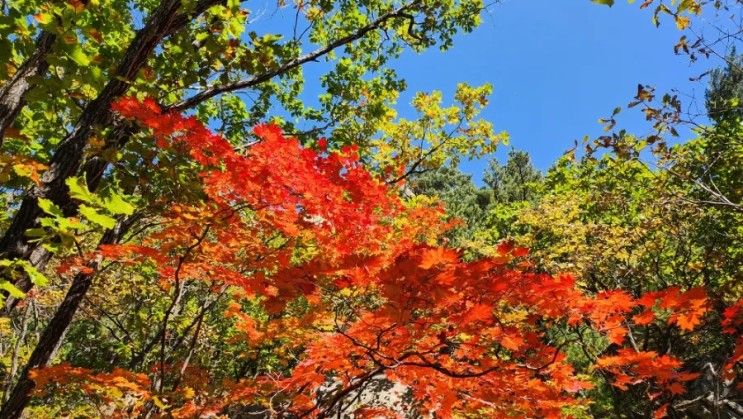 욜스테이, 인구스테이, 속초 굿모닝 호텔 앤 리조트)