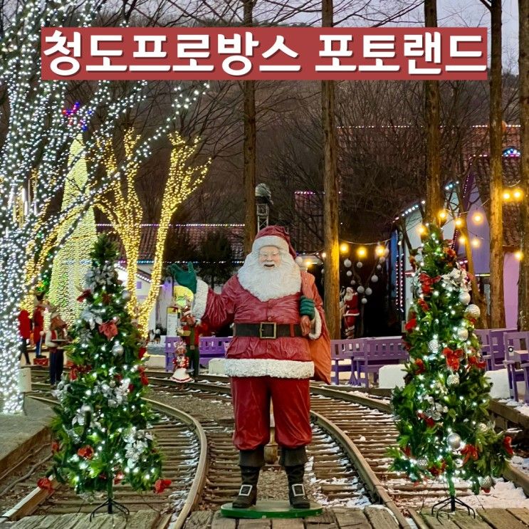 대구/경북 크리스마스 데이트 청도프로방스 빛 축제 포인트
