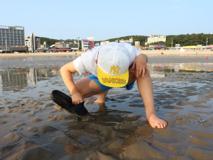 을왕리 해수욕장 아이랑 갯벌체험 물때 시간 체크