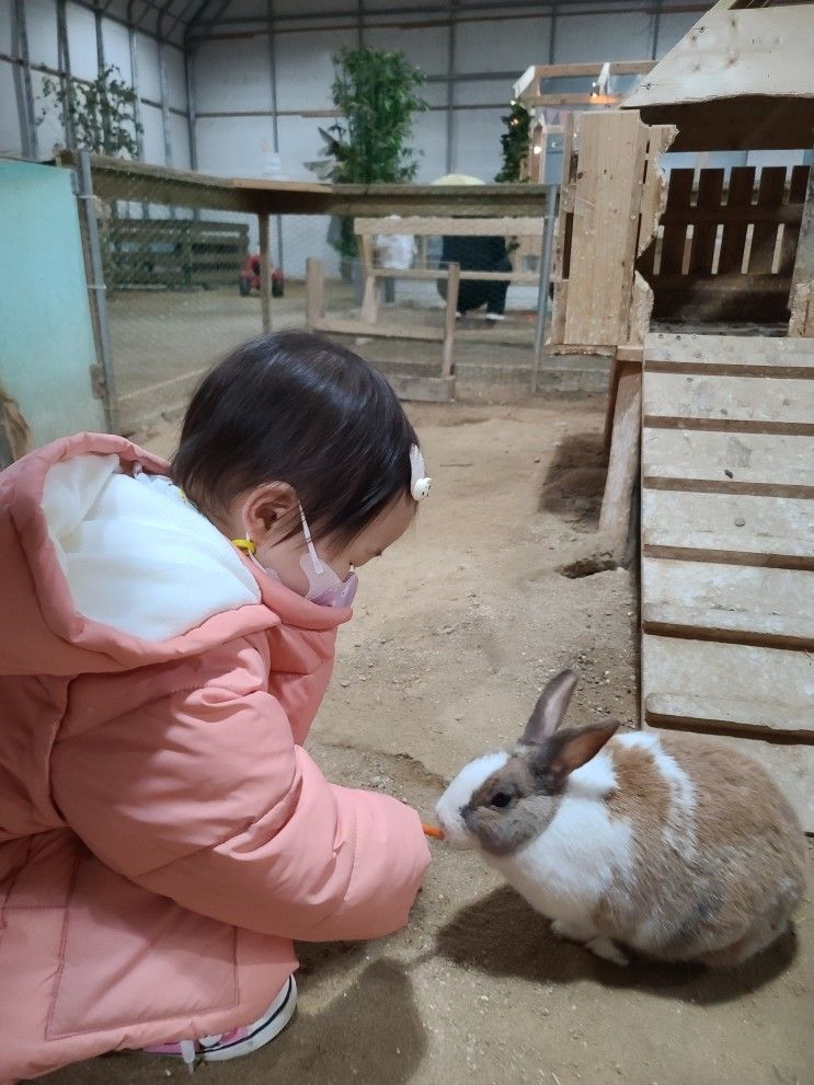 인천 시흥 아이와 가볼 만한 먹이 체험(온 동물체험농장)(휴업 정보)