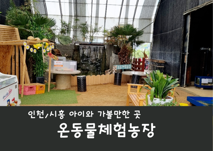 경기도 시흥 아이와 가볼만한곳 온동물체험농장 30개월 아기 방문 후기 (동물먹이주기 & 모래놀이)