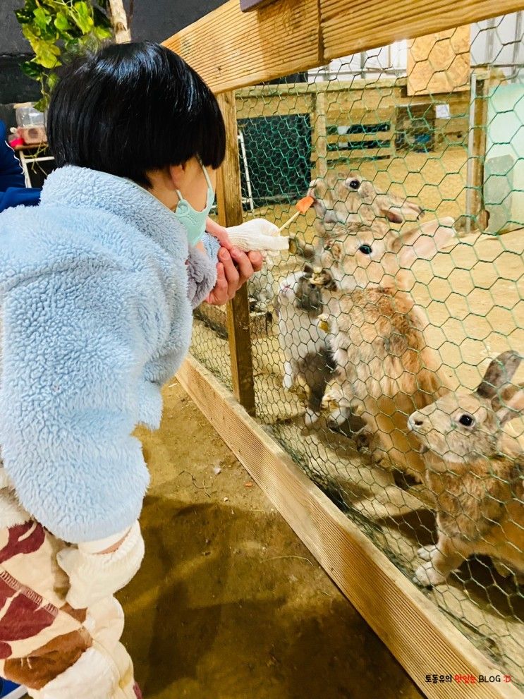 [육아일기] 760일 / 시흥 온동물체험농장 실내동물원 다녀오다