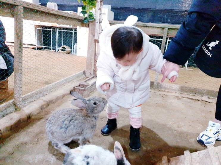 시흥 온동물체험농장 아기랑 갈만한 곳 (장, 단점)