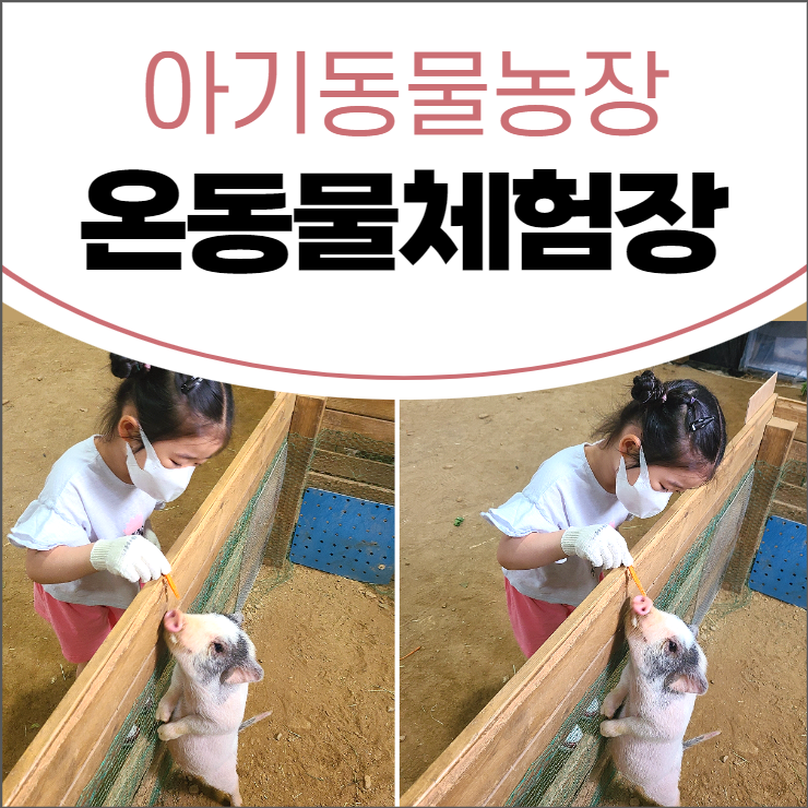시흥 아이랑 온동물체험농장
