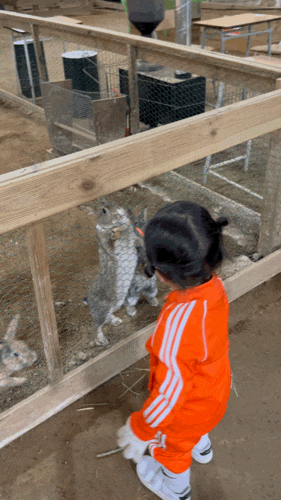 시흥 아기랑 갈만한 곳 온동물체험농장 | 주차, 가격, 장단점