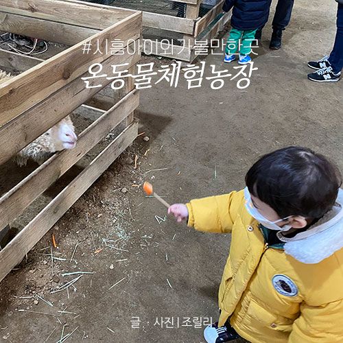 시흥 아이와 갈만한 곳 :: 온동물체험농장 :: 먹이체험