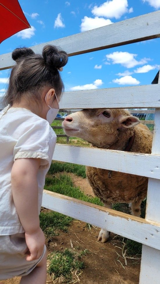 부천 나눔농장 부천 아이와 가볼만한곳 동물농장 체험