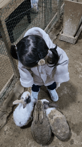 시흥 온동물체험농장에서 토끼 먹이주기 체험