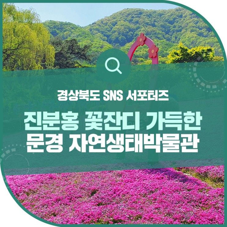 진분홍 꽃잔디 물결이 파도치는 문경자연생태박물관