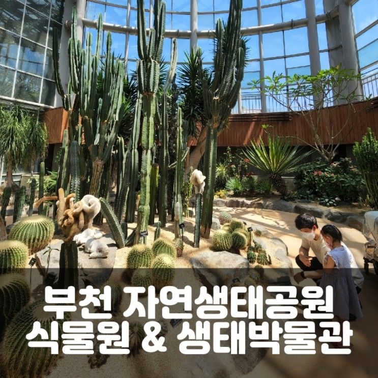 부천 자연생태공원 1탄, 식물원 & 자연생태 박물관! (ft. 아이와 가볼 만한 곳 추천)