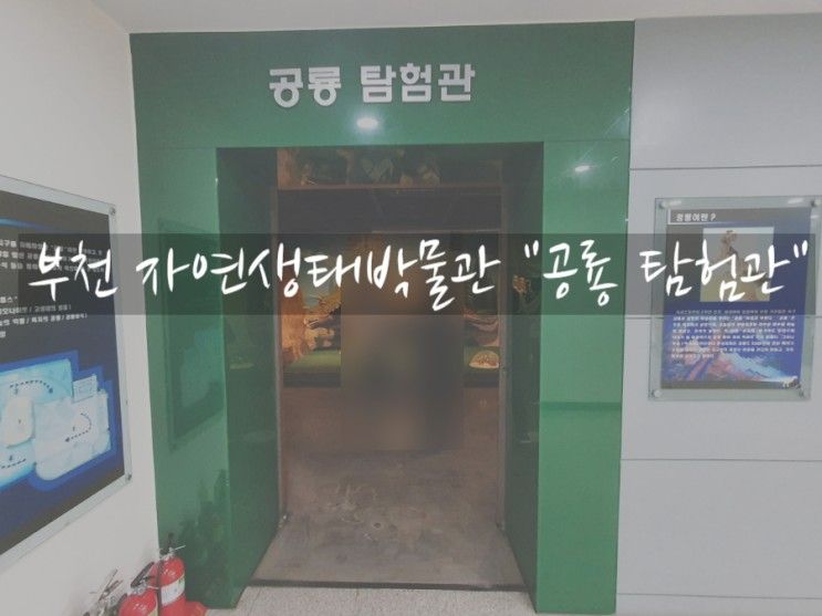 부천 아이와 갈만한 곳 추천, 자연생태박물관 "공룡탐험관"