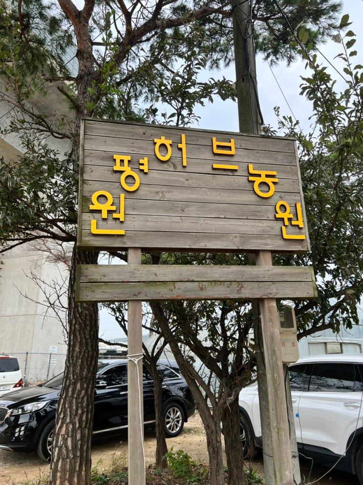 (원평허브농원/허브카페)주말 아이와 가볼만한곳...