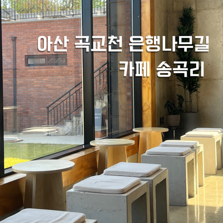 [아산카페] 아산 곡교천 은행나무길 카페 송곡리