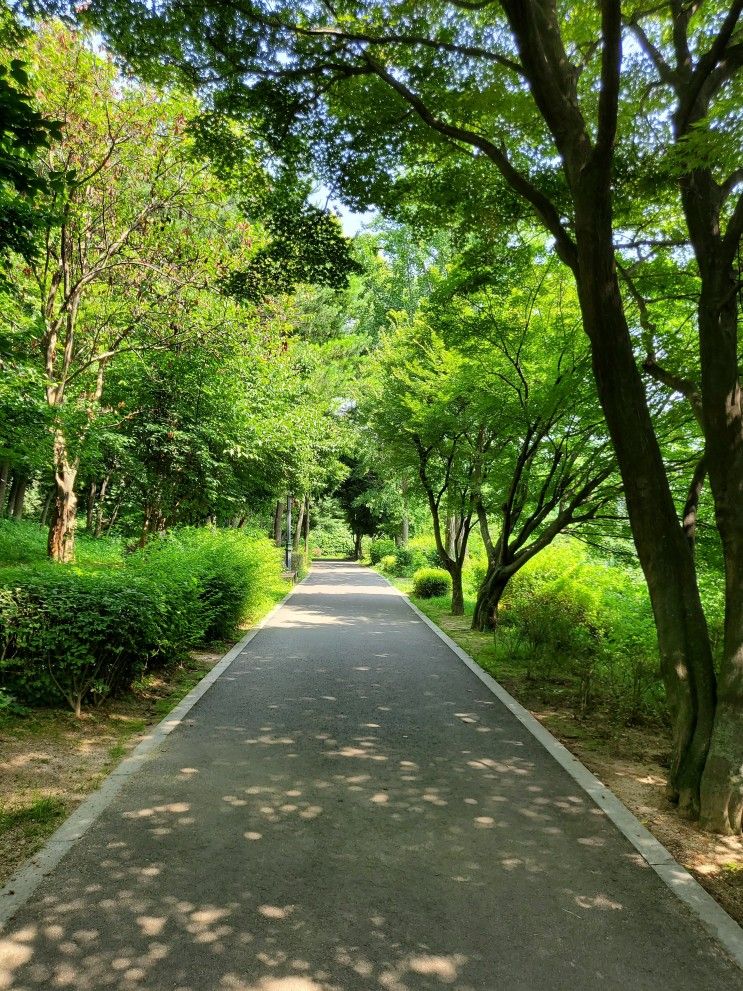 아기랑 서울 나들이) 남산야외식물원 산책
