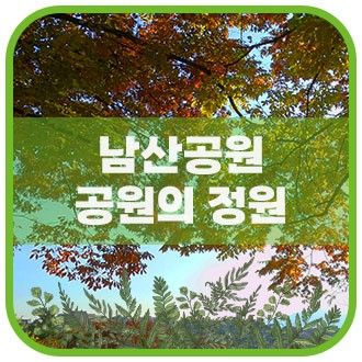 곳 남산공원 2탄 (남산야외식물원, 팔도소나무단지, 이끼정원...
