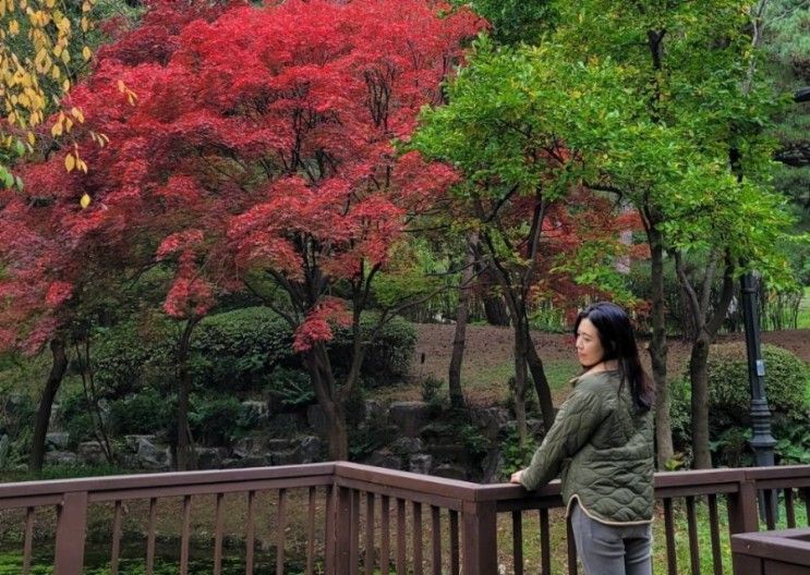 서울산책로,남산야외식물원,가을단풍구경