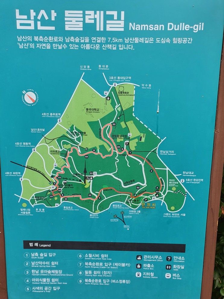 [서울 가볼만한 곳] 남산야외식물원