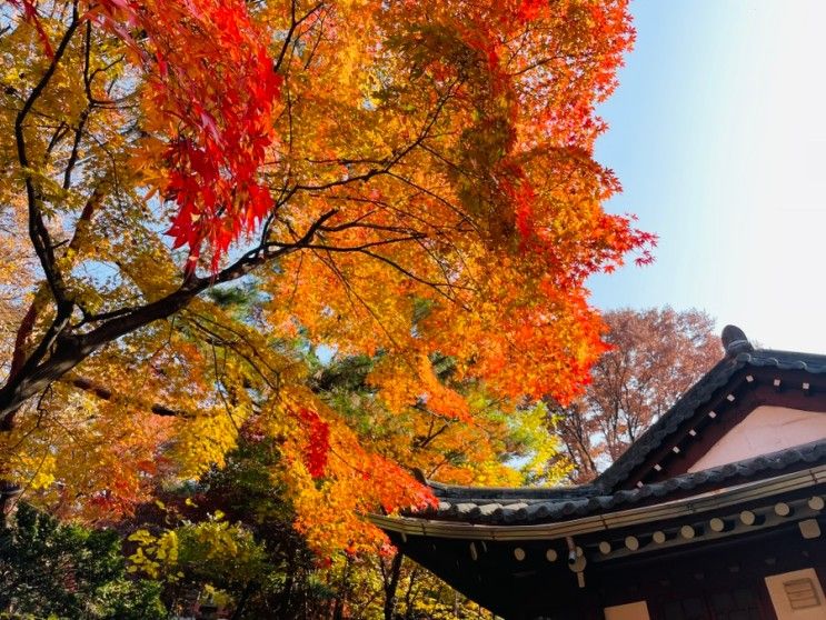 고즈넉한 가을 산책_길상사 낙엽길, 수연산방