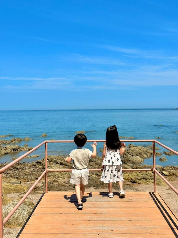 [태안카페] 커피인터뷰파도리 파도리해수욕장 바다 카페...