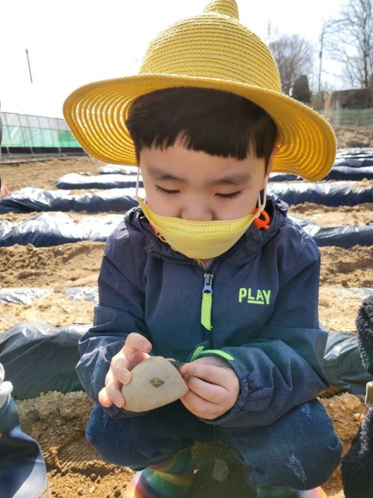 자연체험활동: 꼬마농부일지