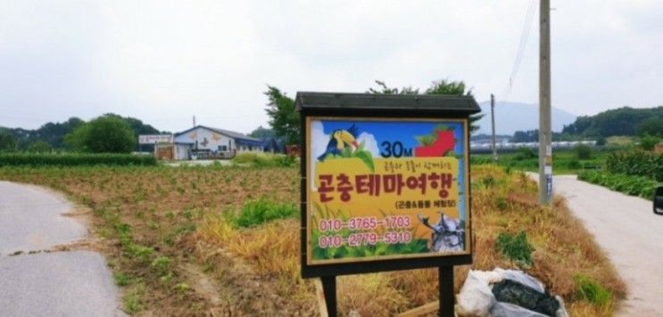 [포천 여행] 경기도 아이와... 볼거리 많은 '포천 곤충테마여행'